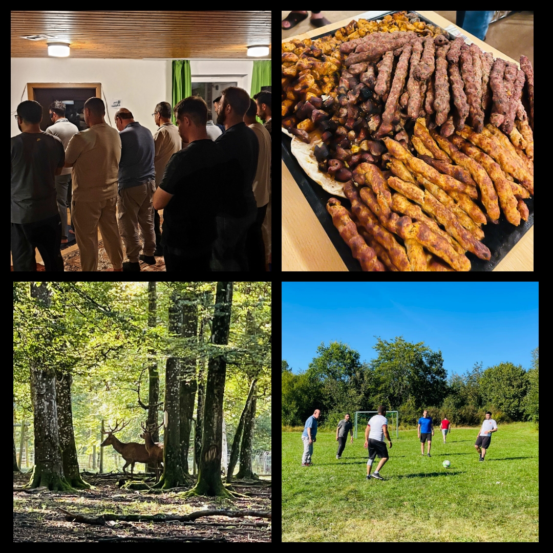 6مخيم الشباب